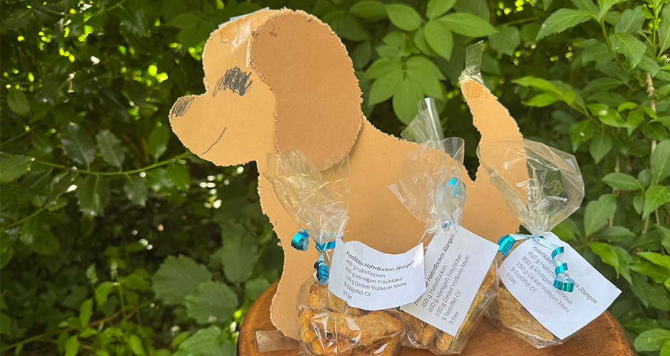 Grafik Projekt: Rund um den Hund