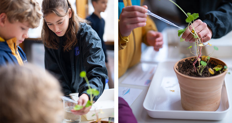 Grafik Tag der offenen Tür