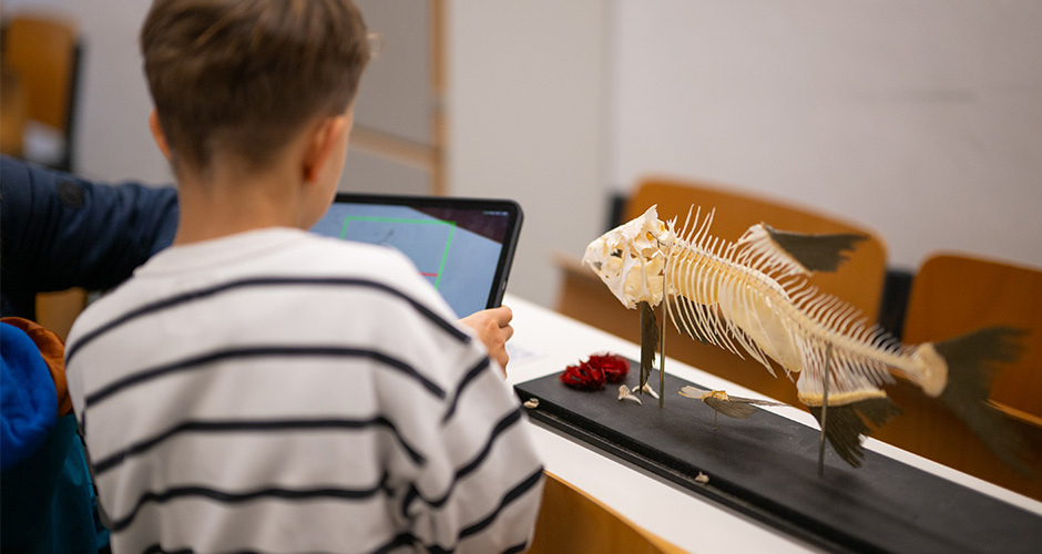 Grafik Tag der offenen Tür